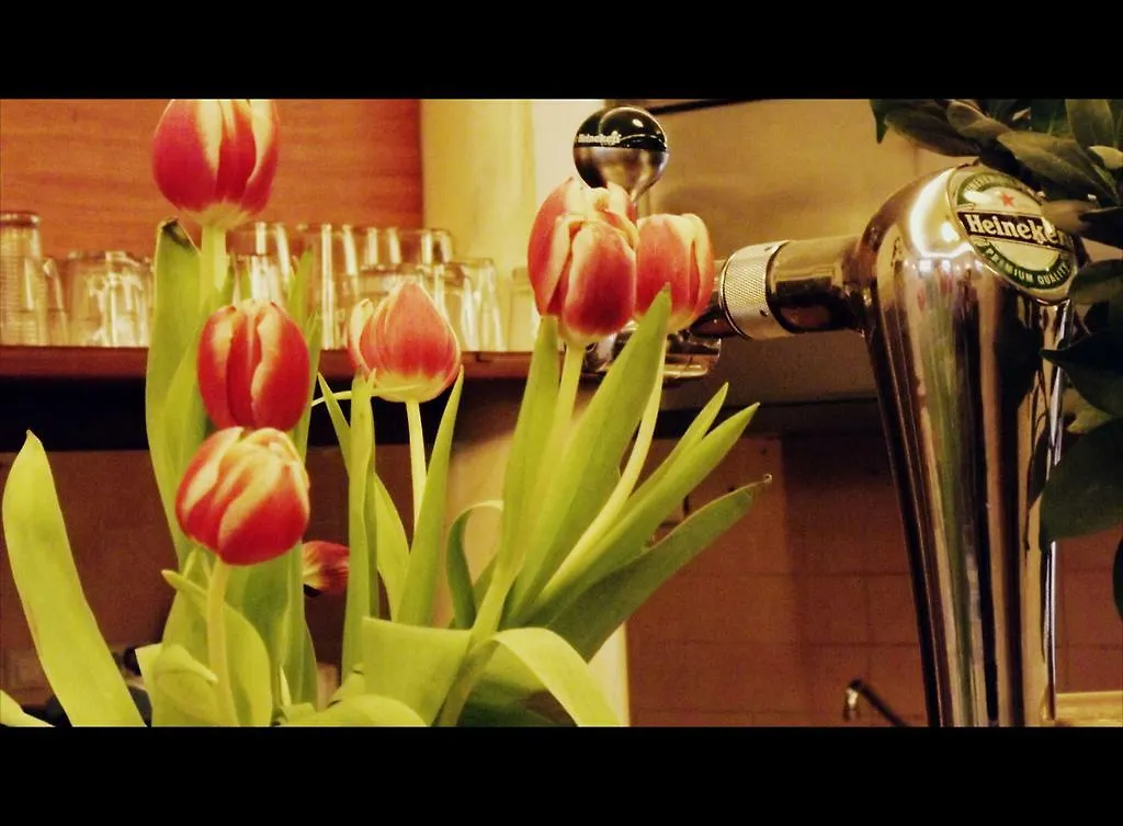 ***  Hotel Omega Amsterdam Netherlands